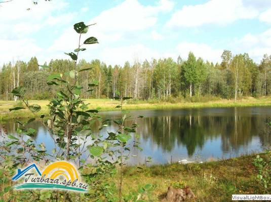 База отдыха «Хозяйство Доброе»