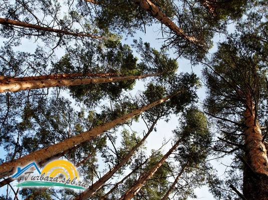 База отдыха «Окуневая»