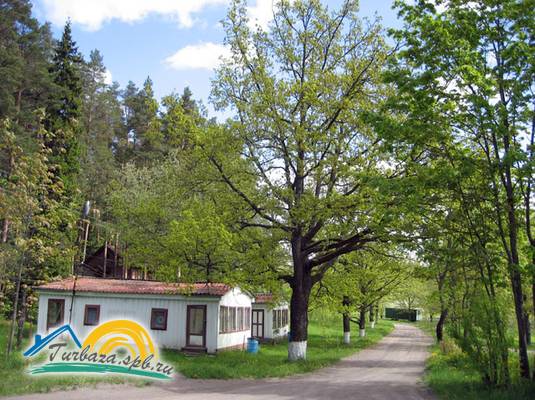 База отдыха «Лесогорская усадьба»