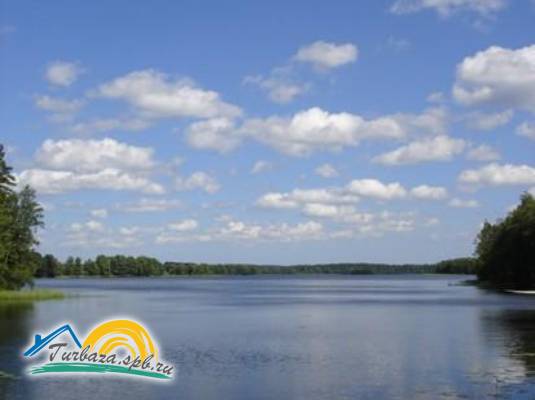 База отдыха «Давинчи парк»