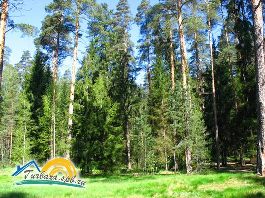 База отдыха «Рубин»