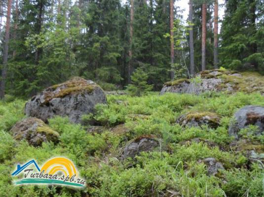 Комплекс коттеджей «Лесная сказка»