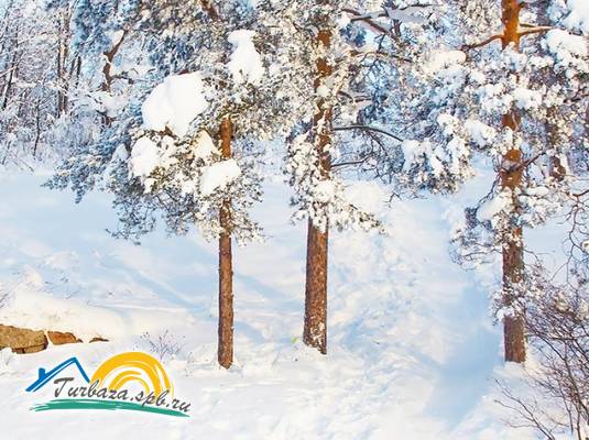 Комплекс коттеджей «Лесная сказка»