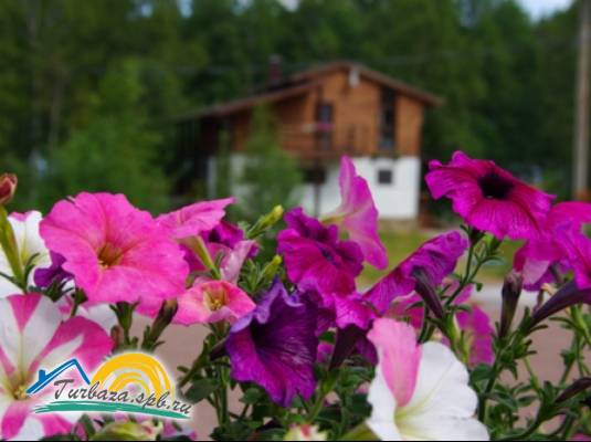 Коттеджный комплекс «Chalet Royale»