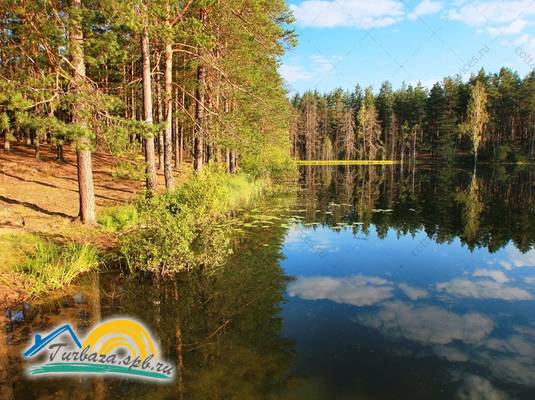 База отдыха «Шишки на Лампушке»