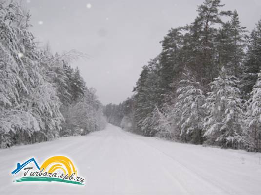 База отдыха «Новая Жемчужина»