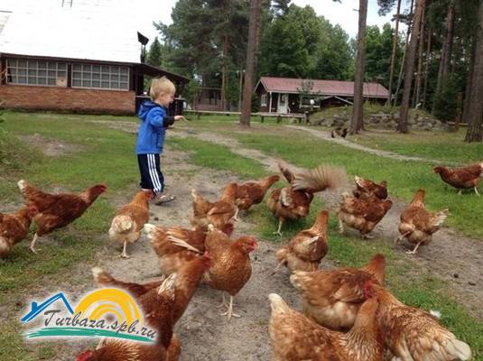 Загородный комплекс «Тихая долина»
