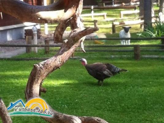 Загородный комплекс «Тихая долина»
