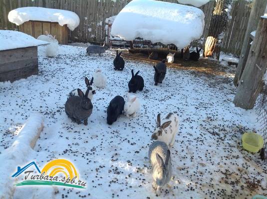 Загородный комплекс «Тихая долина»