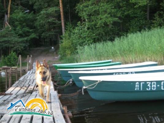 Коттеджный комплекс «Медвежий уголок»