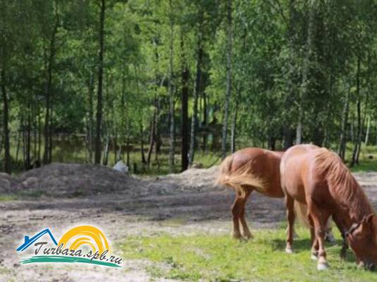 База отдыха «Любимовская»