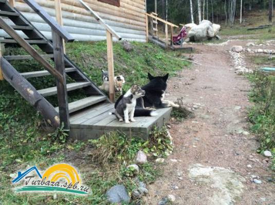 База отдыха «Любимовская»