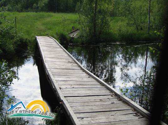 Гостиница Клен