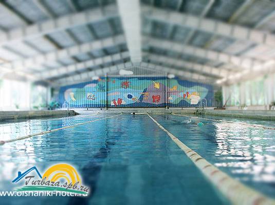 Пансионат «Ольшаники»