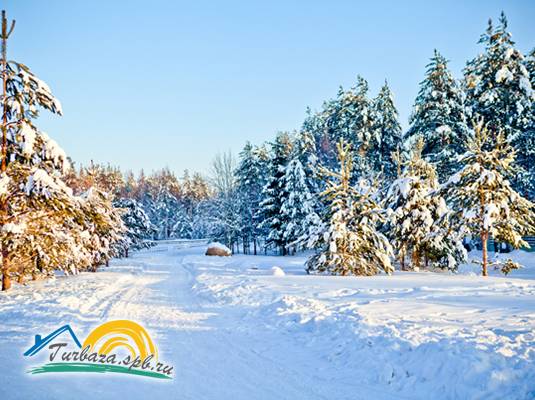 Загородный клуб «TRAVA»