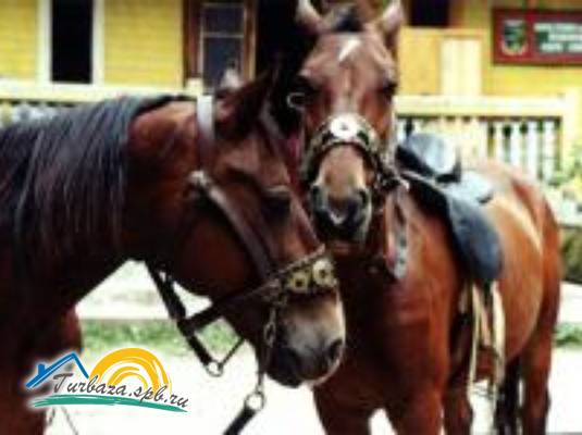 Отель «Домик Охотника»