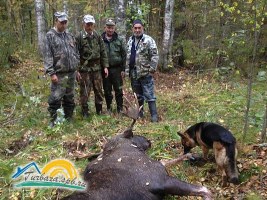Охотничье хозяйство «Эльк-Парк»