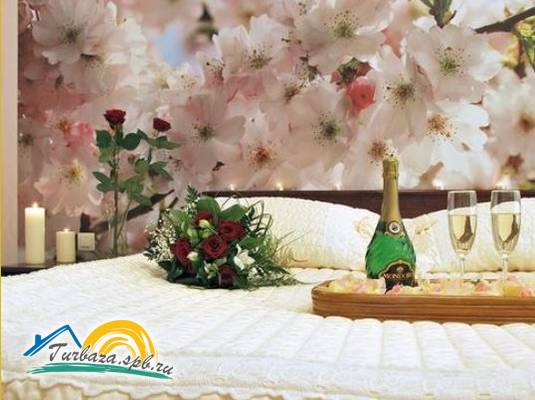 Отель «Петровский»