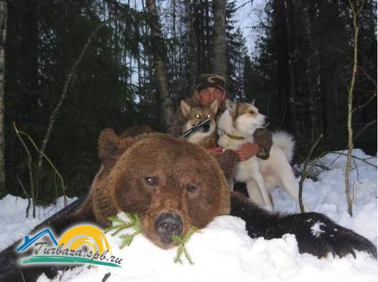 База отдыха «Свирская»