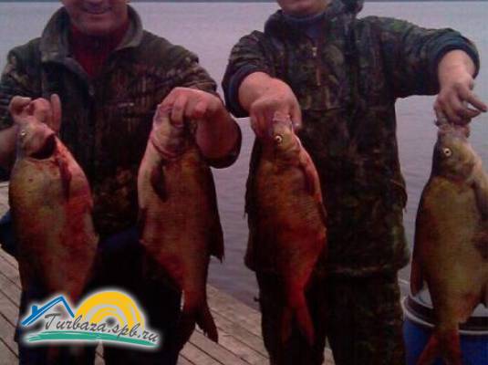 База отдыха «Свирская»