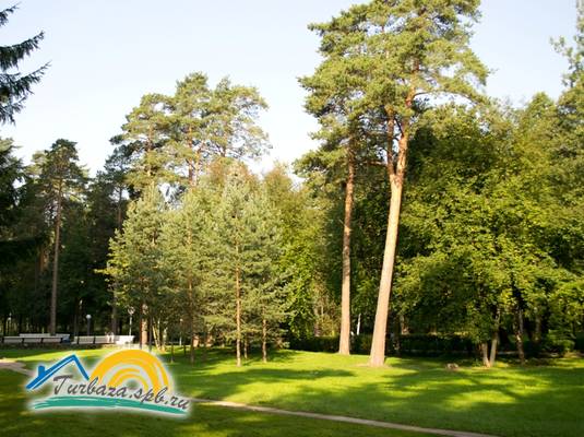 Санаторий «Северная Ривьера»