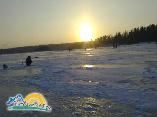 База отдыха «Берёзово Хутор»