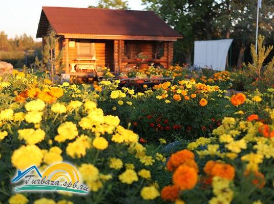 База отдыха «Причудье»