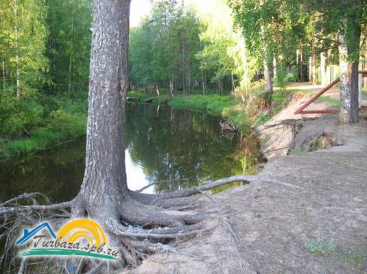 Туристическая база «Лосевский Плес»