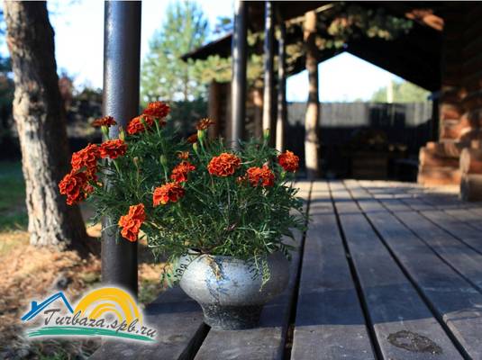 Семейная база «Медвежья Кара»