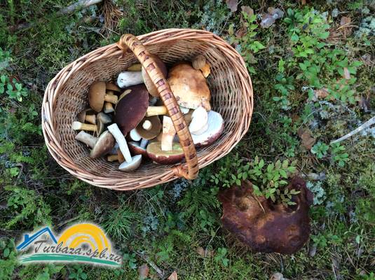 Семейная база «Медвежья Кара»