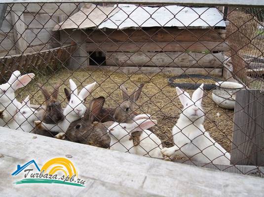 Коттеджный комплекс «Микли-Ольгино»