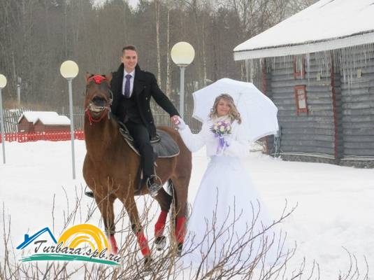 Гостиничный комплекс «Деревня Александровка»