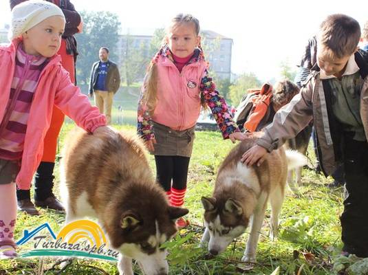 Туристический комплекс «Карьяла Парк»