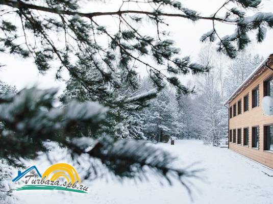 Гостевой дом «Белые ночи» 