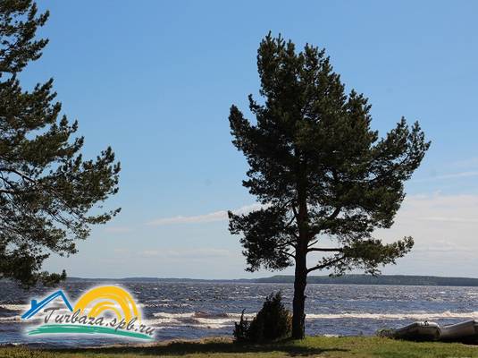 Гостевой дом «Белые ночи» 