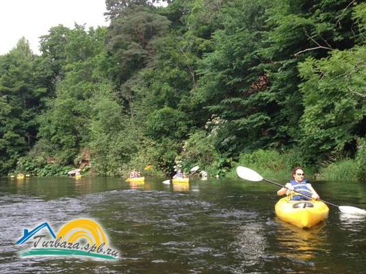 Дома для отпуска «Вырицкие Тарханы»