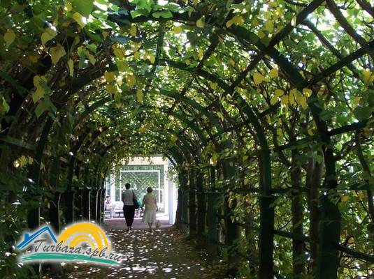 Отель «Александрия Петергоф» 