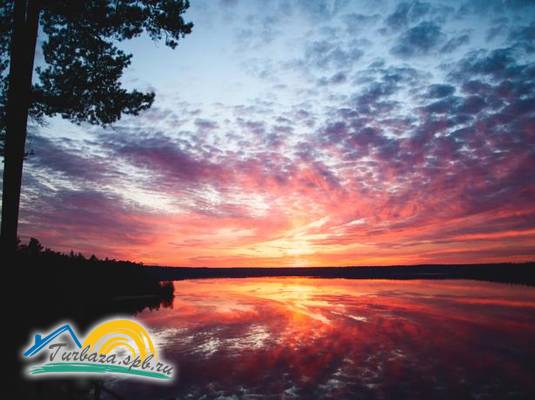 Курортный отель «Лесная Рапсодия» 