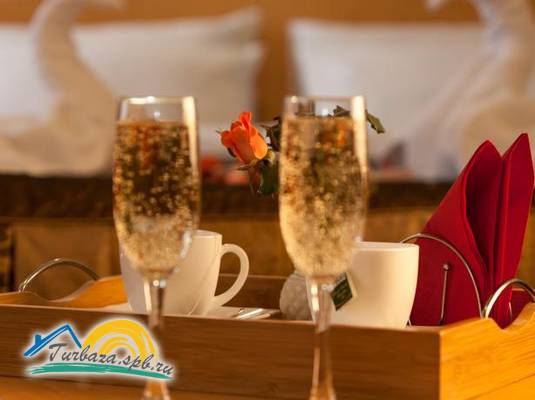 Отель «Ингрия»