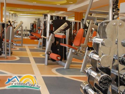 Отель «Виктория» (Выборг)