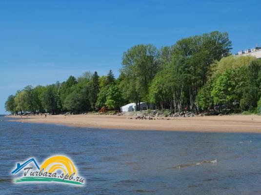 Гостиница «Репинская» 