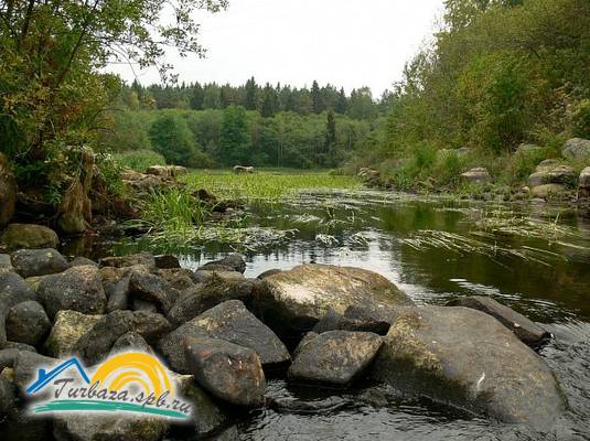 Мотель-кафе «Сампо»