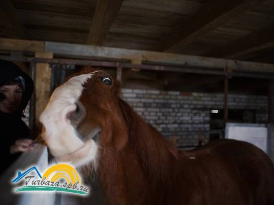 Загородный клуб «Тигода»