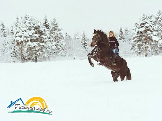 Загородный клуб «Тигода»