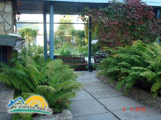 Мини-отель «Starhouse»