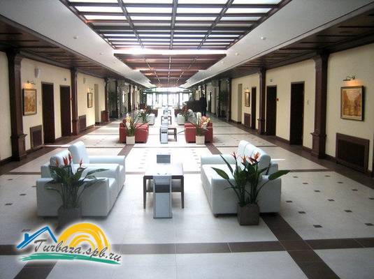 Отель «Новый Петергоф» 