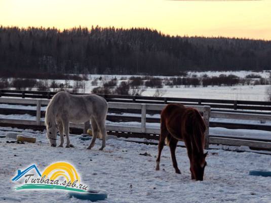 База отдыха «Лумиваара»