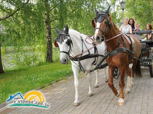 База отдыха «Ромашка-club»