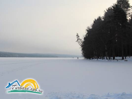 База отдыха «Аврора клуб»