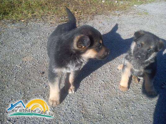 Коттеджный комплекс «Озерный берег»